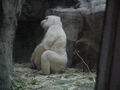 Thumbnail for version as of 18:18, March 18, 2012