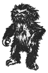 Hairy dw