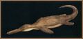 Thumbnail for version as of 02:10, August 15, 2013