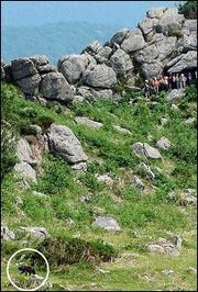 Beastofbodmin1