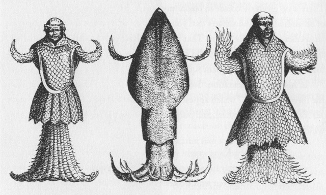 File:Japetus Steenstrup sea monks.png