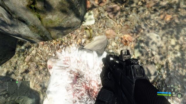 File:Crysis 2012-02-04 20-31-53-10.jpg