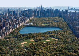 Central Park.jpg