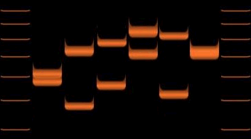 File:DNA.gif