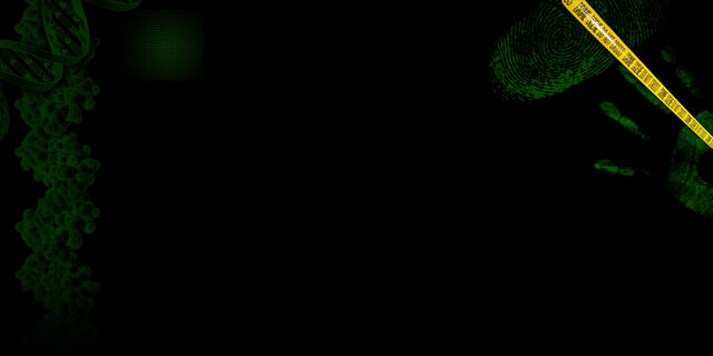Archivo:Csi bg.jpg