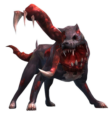 File:Zombie Dog 006.jpg