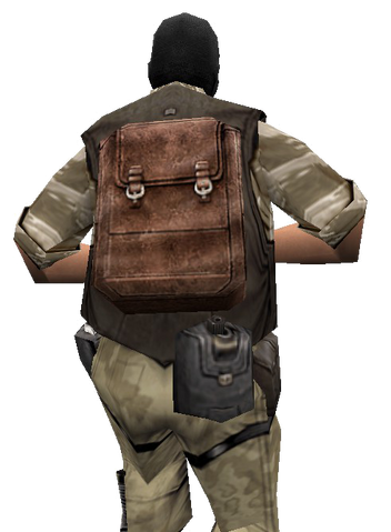 File:P c4 holster cz.png