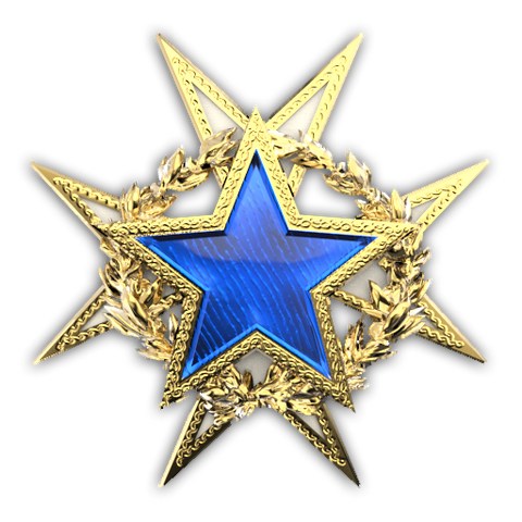 File:Csgo-service medal 2015 lvl1.png