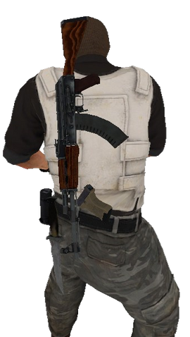 File:P ak47 back csgo.png