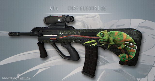 File:AUG-chameleon-workshop.jpg