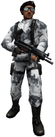 File:Arctic skin1.png