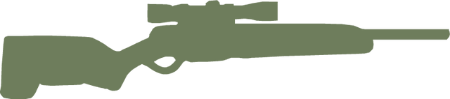 File:Scout hud csgoa.png