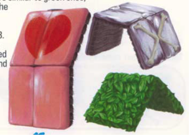 File:Cubivore bugs.png