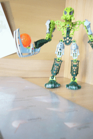 Plik:P1030206.gif