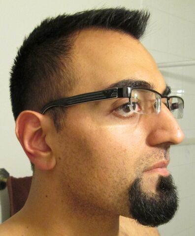 File:Ham beard8.jpg