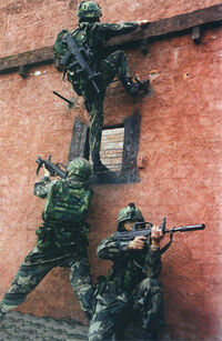 Armyspecial3lg