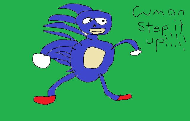 File:Sanic.jpg