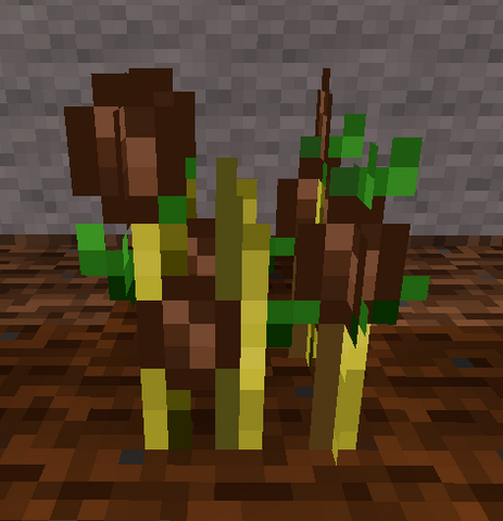 File:Cocoa.png