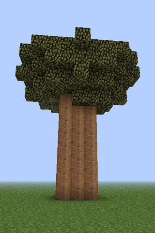 File:Baobab.png