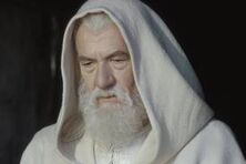 Gandalf II.jpeg