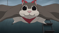 Mao as a squirrel