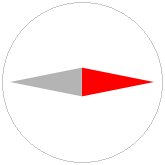 LargeCompass