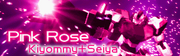Pink Rose