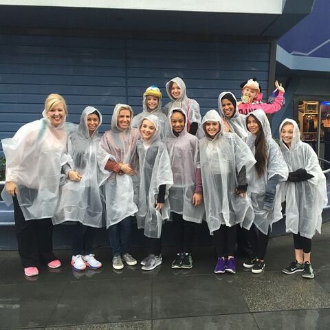 File:Disneyland 2015-01-26.jpg