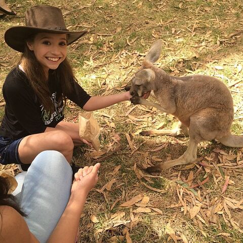 File:Mackenzie kangaroo 2015-03-17.jpg