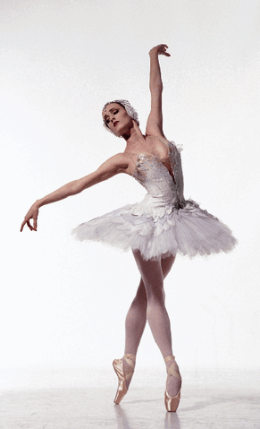 File:GillianSwan.gif