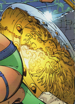 Shield