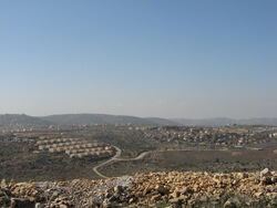 OfraOverview.jpg