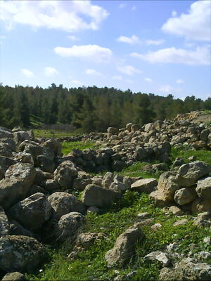 Yatir.jpg