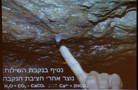 Netif siloch.png