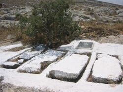 Kivre svatim.jpg