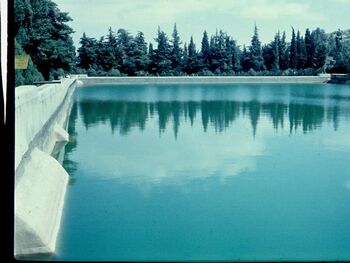 Shelomo pool.jpg