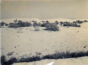 Sand a Sinai 1.jpg