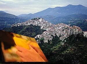 Etroge calabria