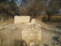 TelKadesh2.jpg