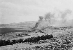 The 1929 riots August 23 to 31 Artuf burning.jpg