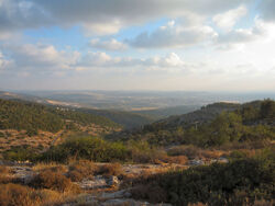 Panorama from Beit Mahsir .jpg