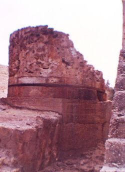 Beeri1981c.jpg