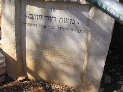 Moshe David Shuv tomb
