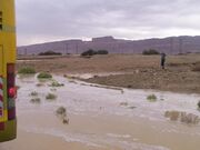 Ph1135370432037576929
