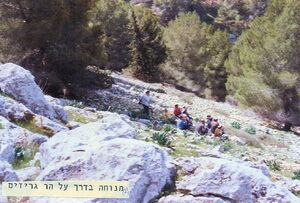 Mount grizim 33