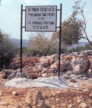 הצומת ליקיר.jpg