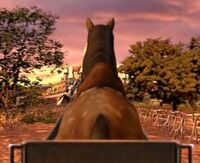 Horsebutt4