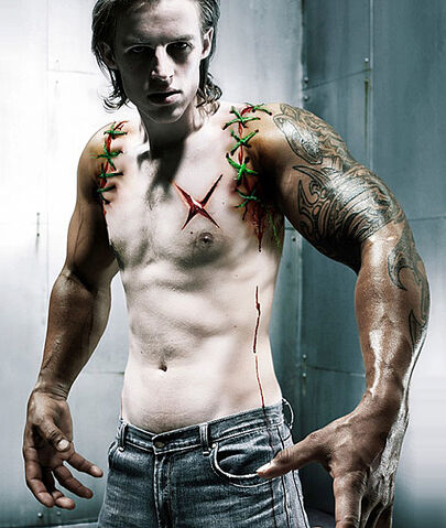 File:SelfmodificationXBox-Arms-Portrait-l.jpg