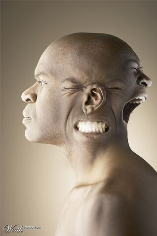 File:Disosiativeidentitydisorder984550 ff02 625x1000.jpg