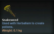 Snakeweed